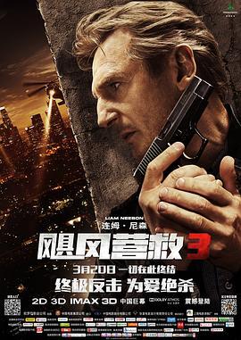 飓风营救3 Taken 3 海报