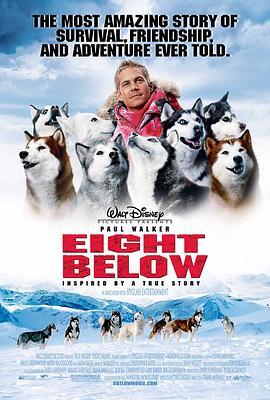 南极大冒险 Eight Below 海报